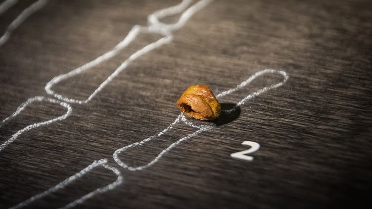 Their DNA survives in diverse populations across the world – but who were the Denisovans?