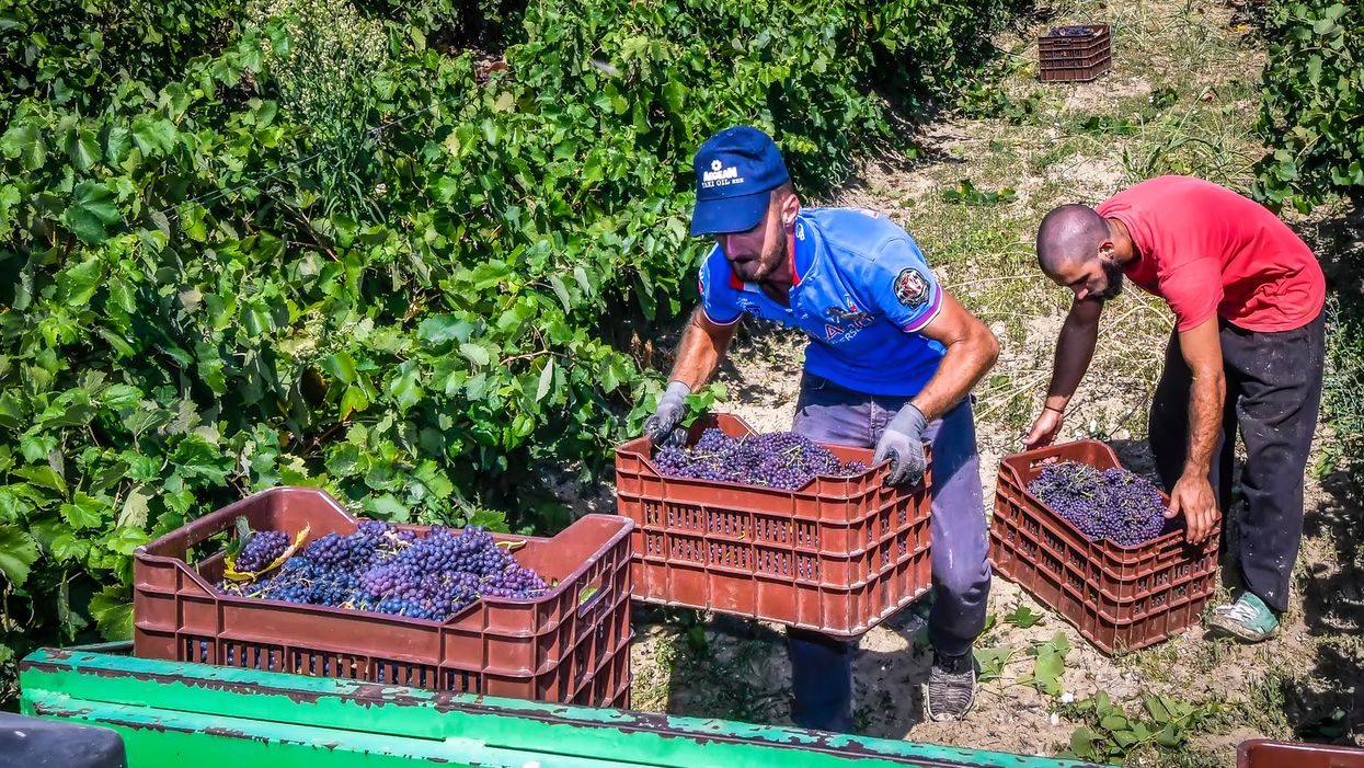 As winter approaches, America's racist produce distribution system makes food insecurity worse
