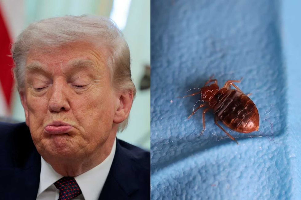 Trump's insect defense agency has a bed bug infestation
