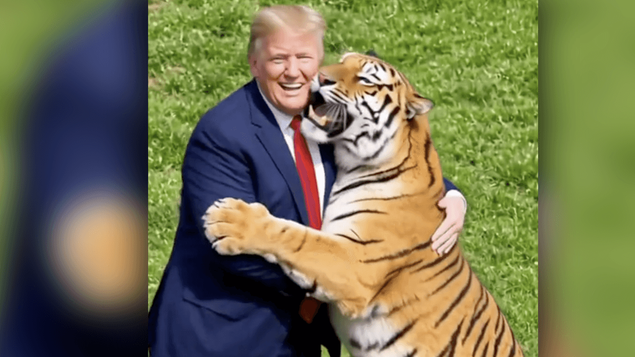 Trump's bizarre overnight posting spree paints him as a lion playing with a tiger