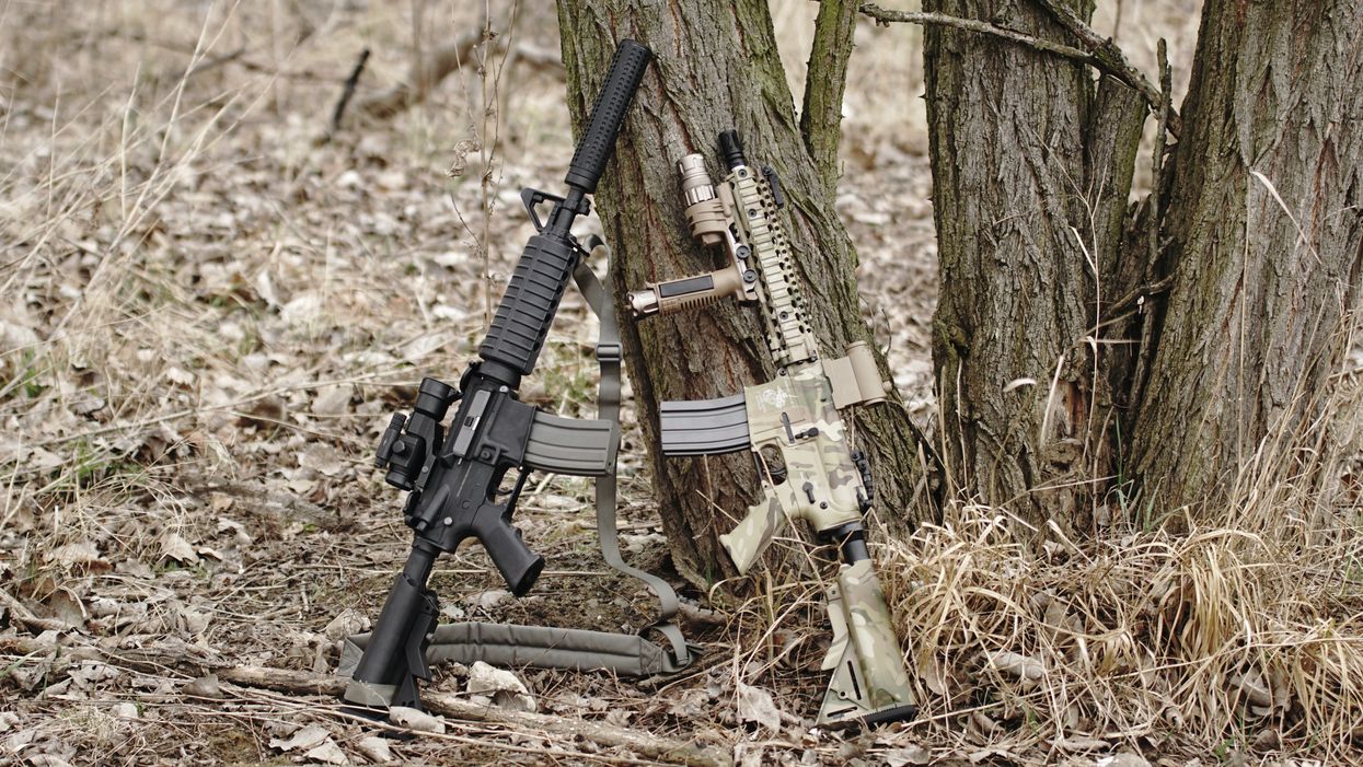 Expert warns armed right-wing groups could launch a ‘rural insurgency’ against the government