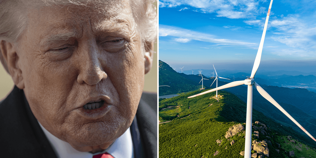 Trump pays French company $1 billion to cut wind energy just in time for energy crisis