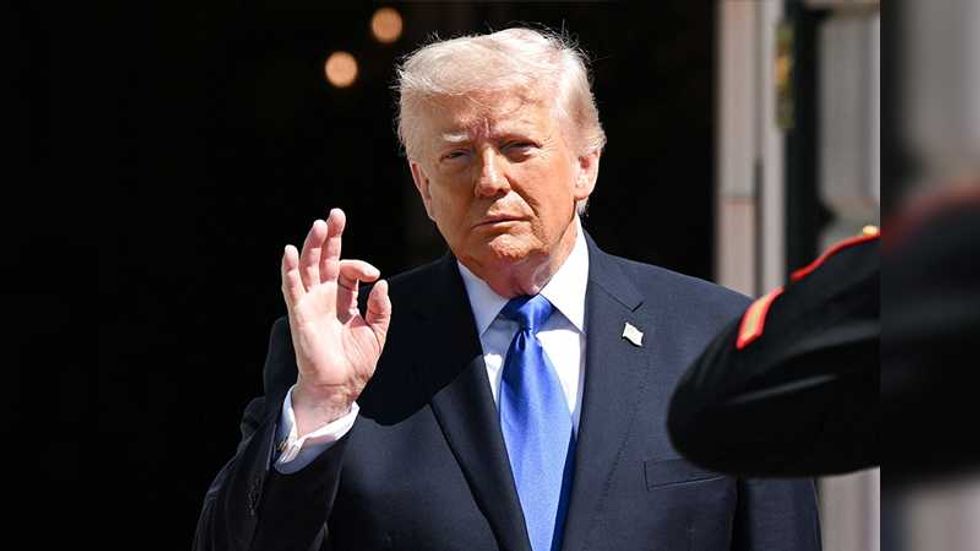 The constitutional provision that could help Trump’s target strike back: expert