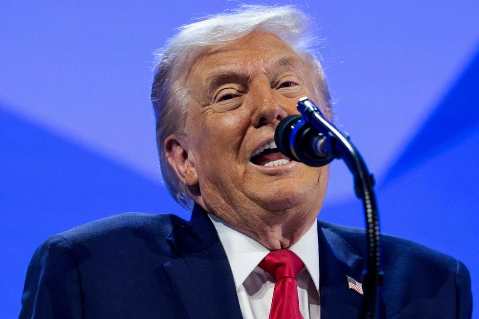 Missing: DOJ's Epstein files related to sexual abuse allegations against Trump