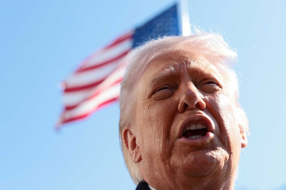 Midterms could bring total 'repudiation of the Trumpist project': conservative