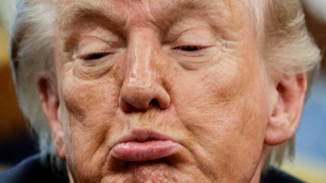 Conservative mangles 'stupid and pernicious' Trump for giving Dems Congress
