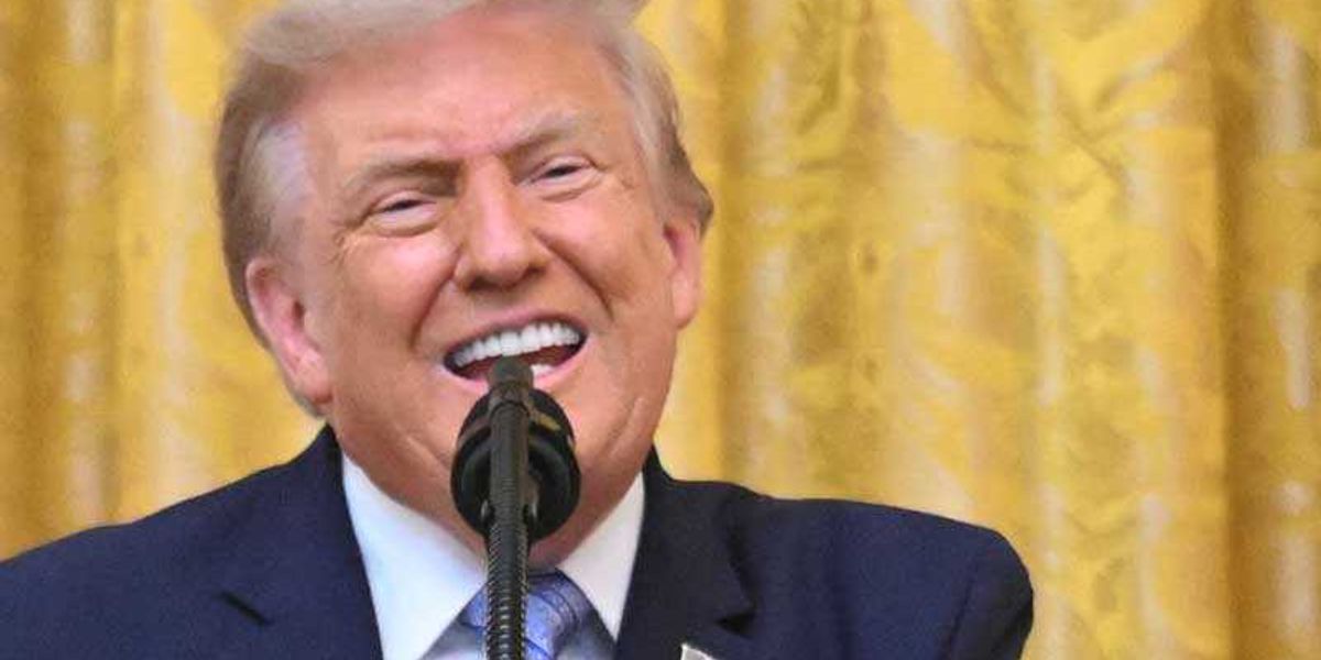 'I didn't hear anything shocking': Expert derails Trump's central claim