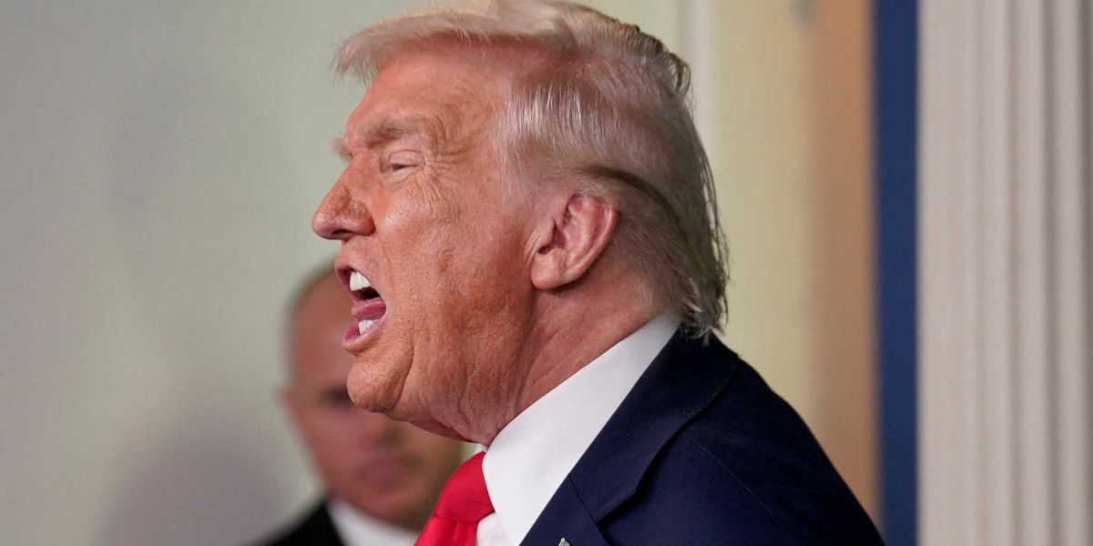 Unhinged Trump official in 'panic mode' to save his job