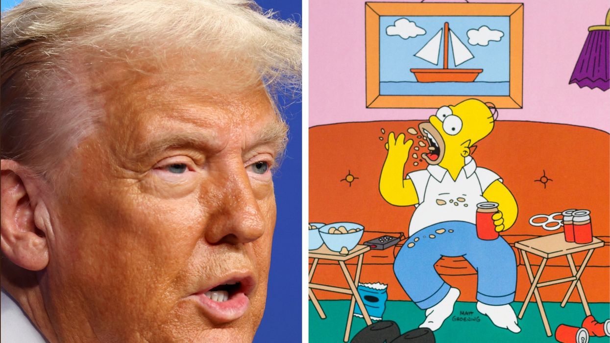 Judge busts Trump’s illegal freeze on state money with 'The Simpsons' quote