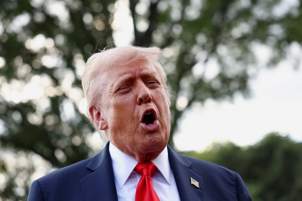 Trump committing 'economic self-sabotage': analyst