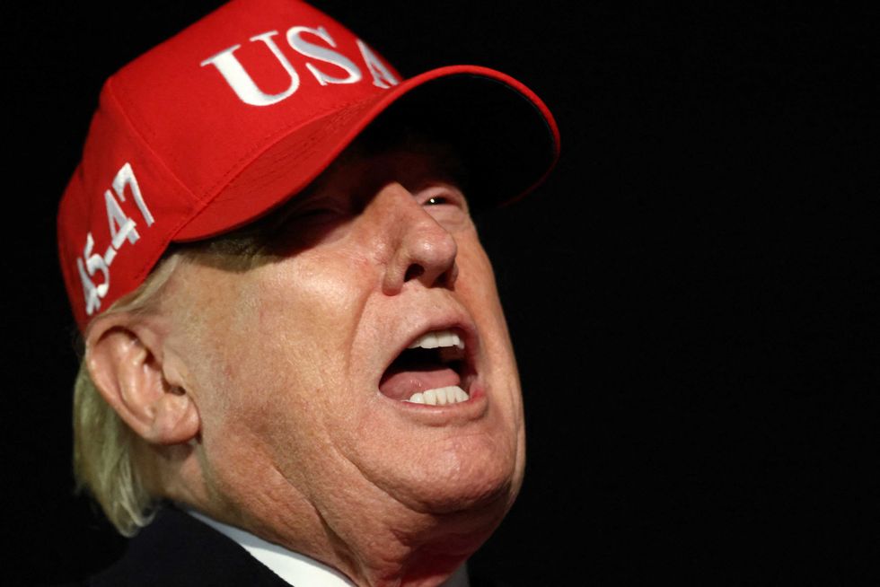 Republicans scramble to brush off claims Trump is a 'lunatic'