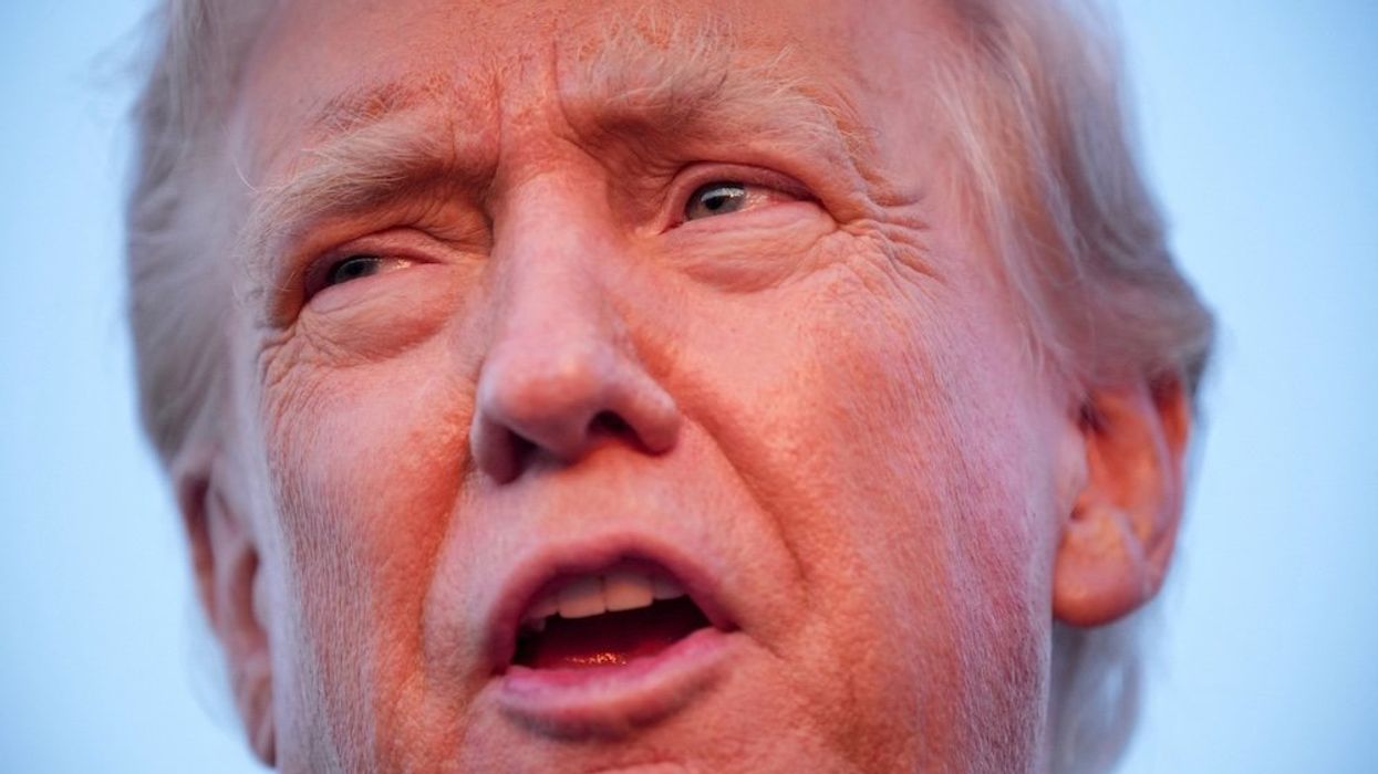 'Really struck a nerve': Dems 'splitting the Trump coalition' by pummeling him on Epstein