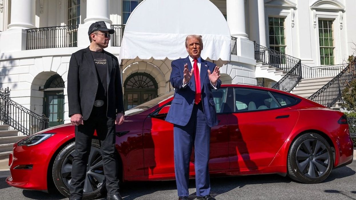 'Business has been neglected': Longtime Tesla investor demands Elon Musk resign as CEO