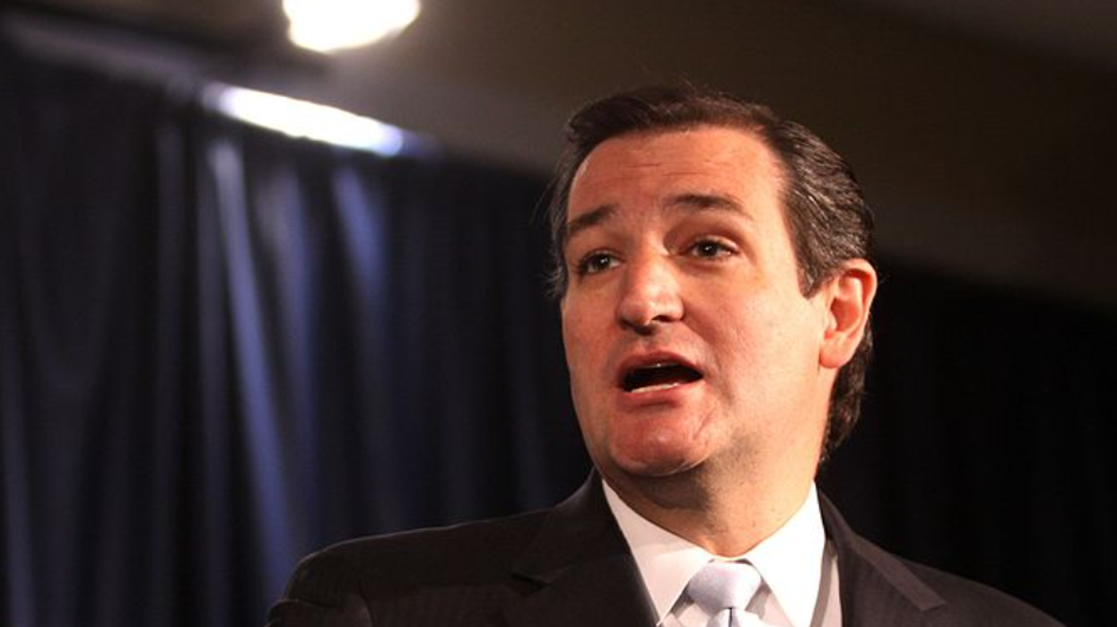 Latest Ted Cruz gun rights rant gets smacked down on Twitter