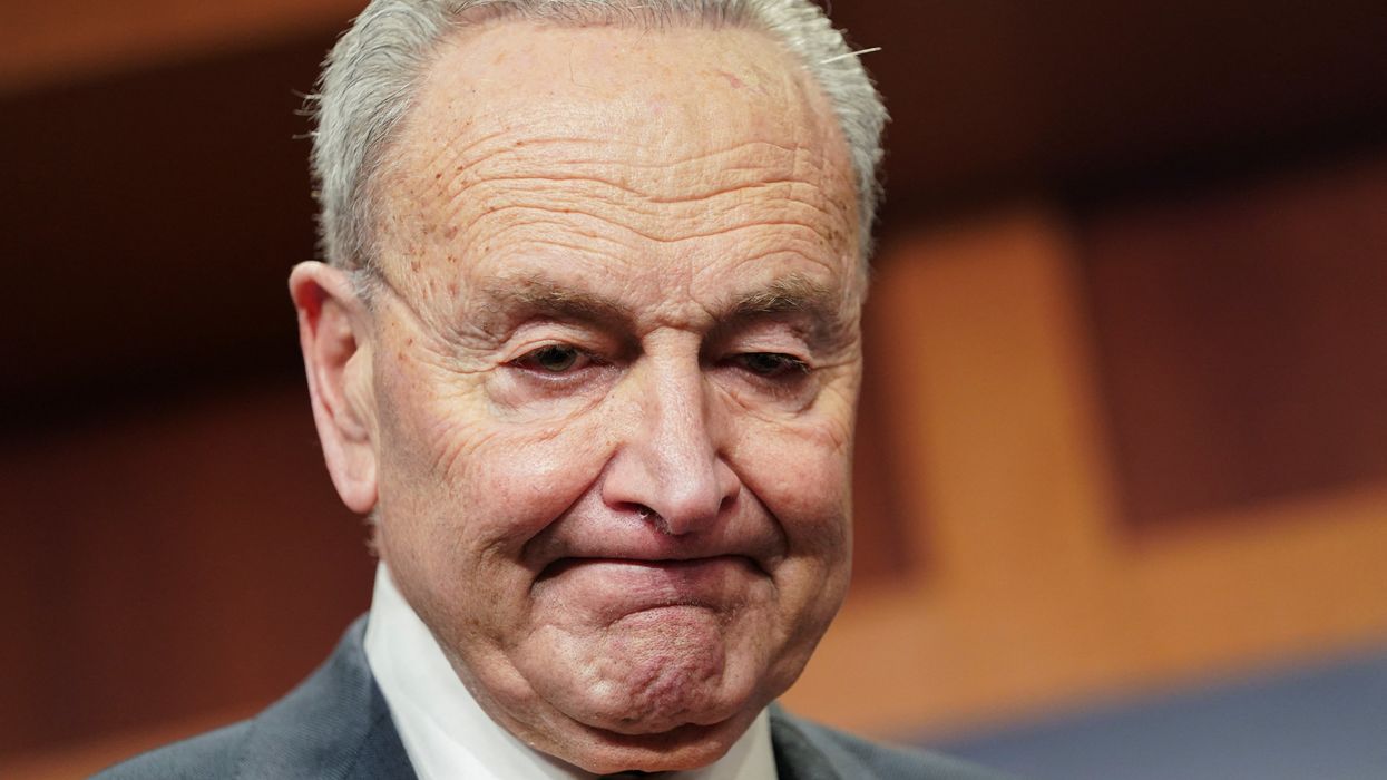 'Sorting through the wreckage': Focus groups reveal 'pretty scathing rebuke' of Dem leadership