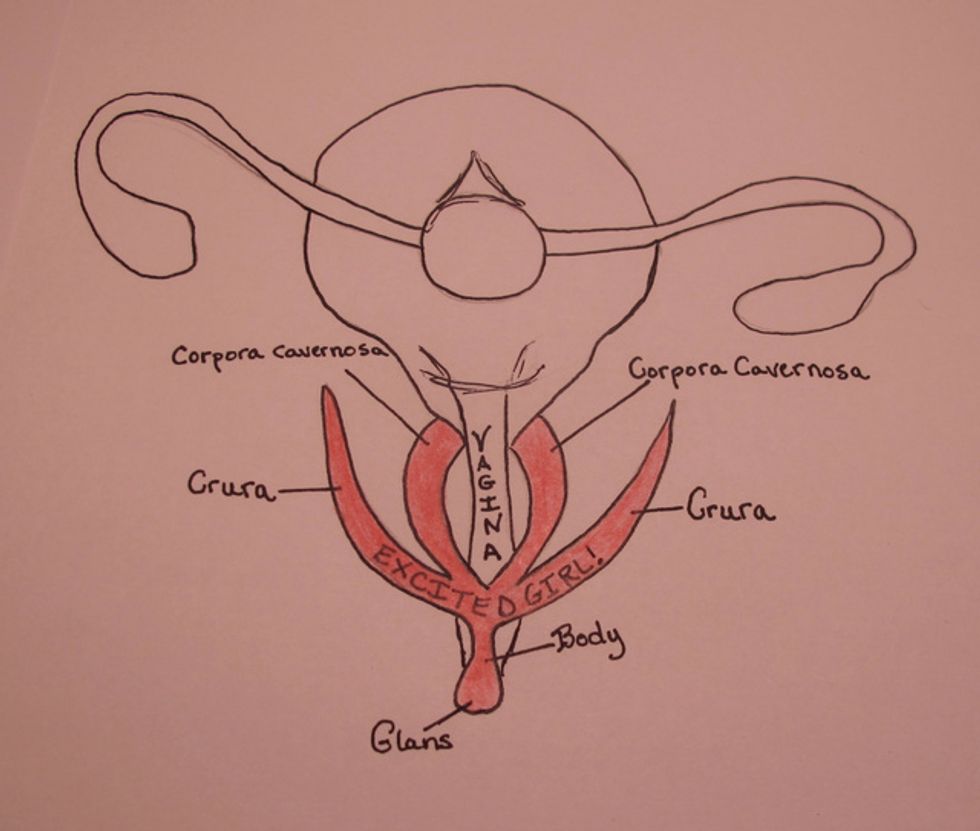 Until 2009, the human clitoris was an absolute mystery