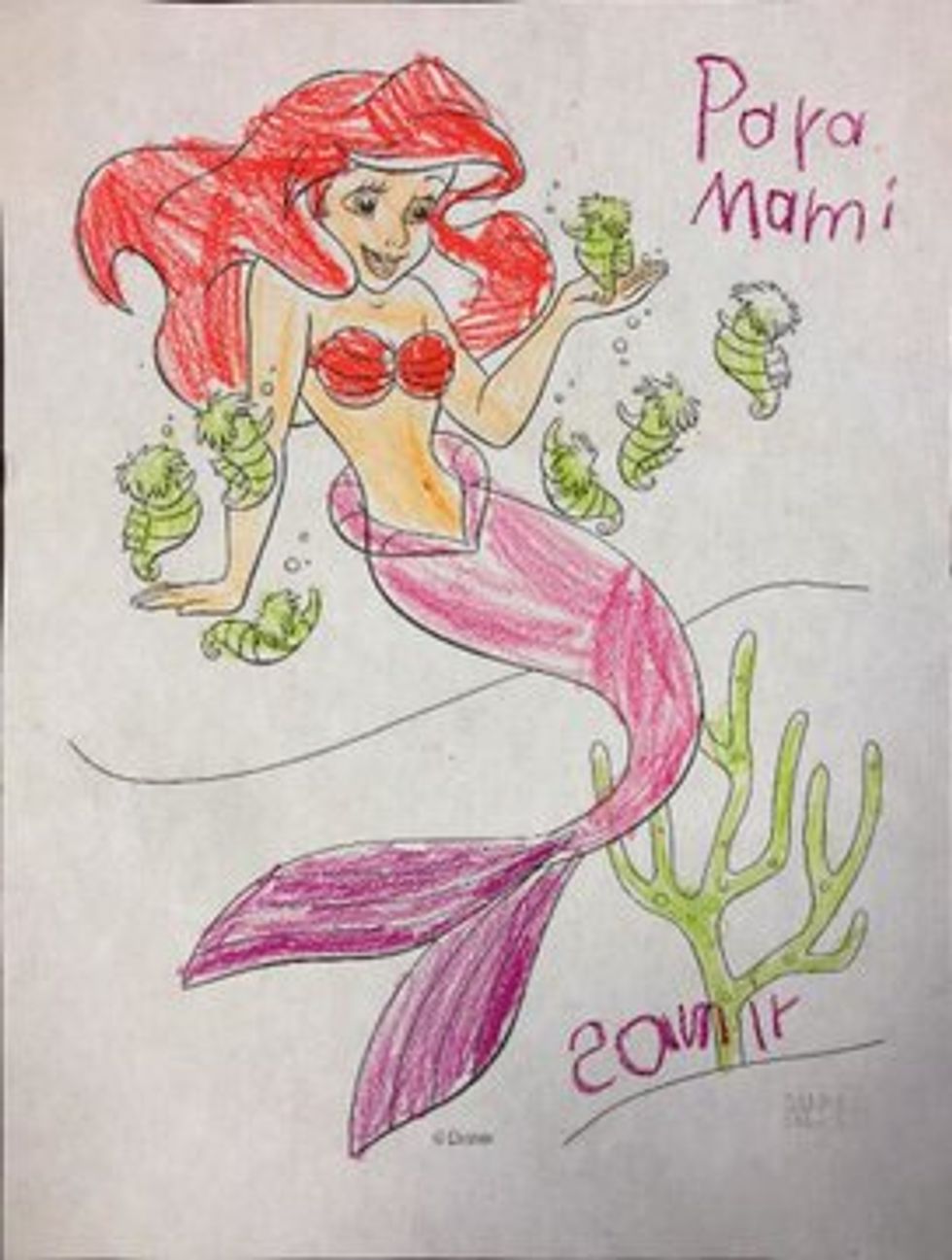 View image on Twitter