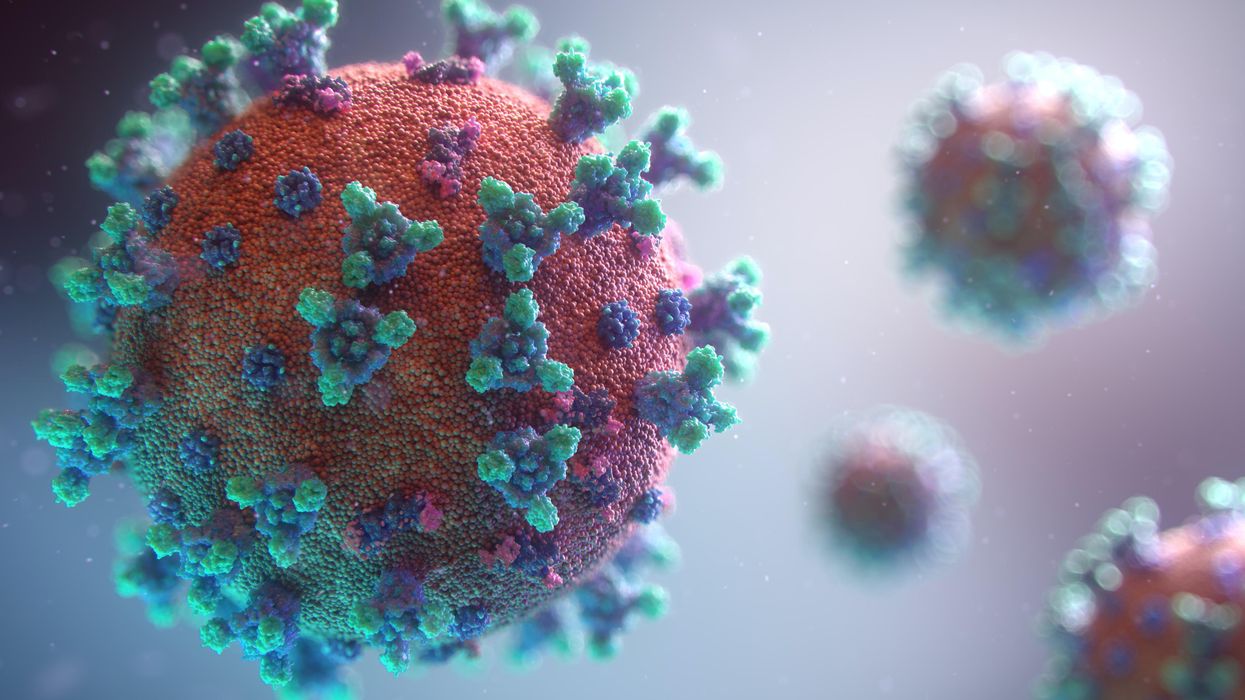 The hunt for coronavirus variants: how the new one was found and what we know so far