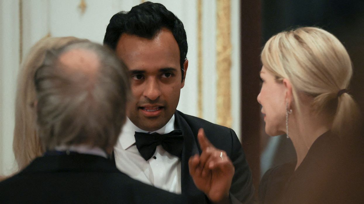 'As idiotic as they are dangerous': Dems rip Musk-Ramaswamy plan for spending cuts