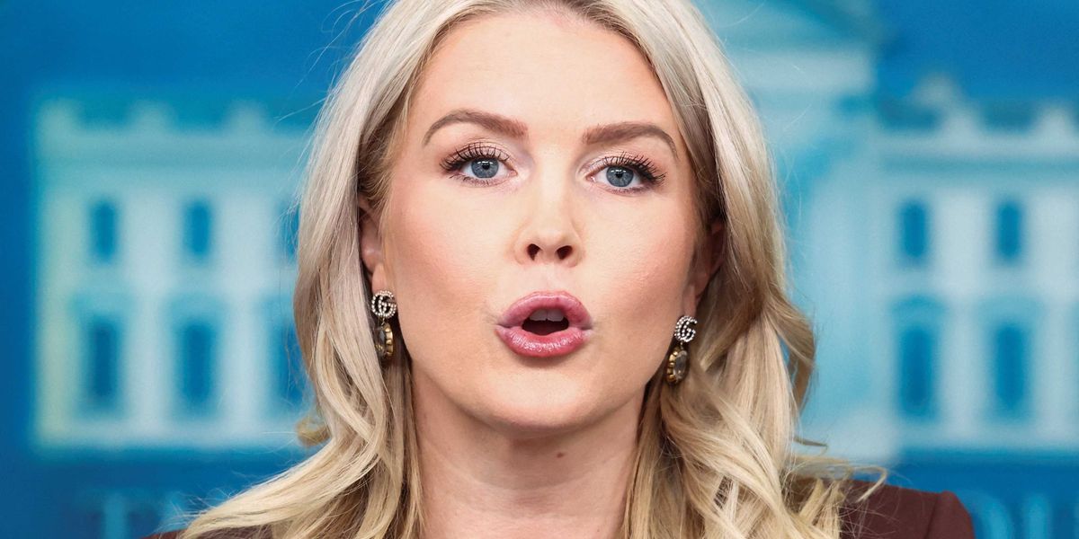 Trump has a weirdly specific wish list to replace Karoline Leavitt