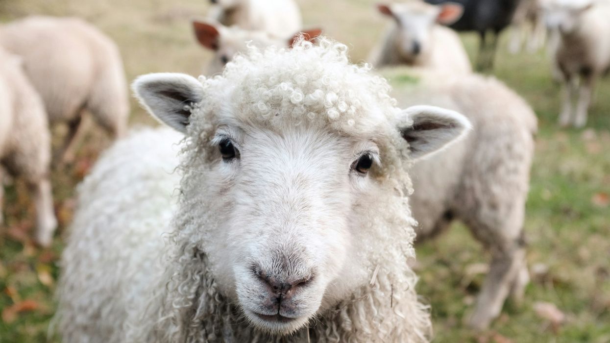 GOP Farm Bill decried as pro-corporate 'waste of everyone's time'