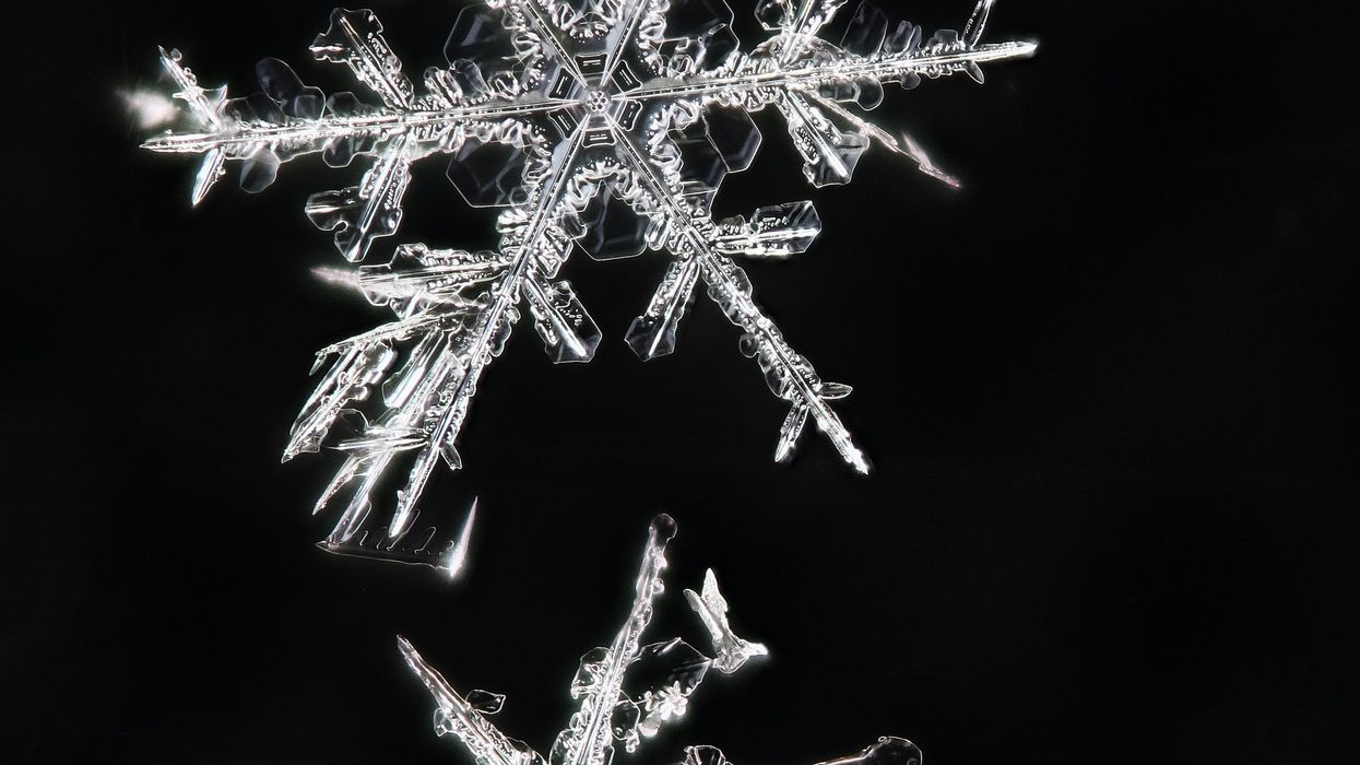 The snowflaking of white privilege