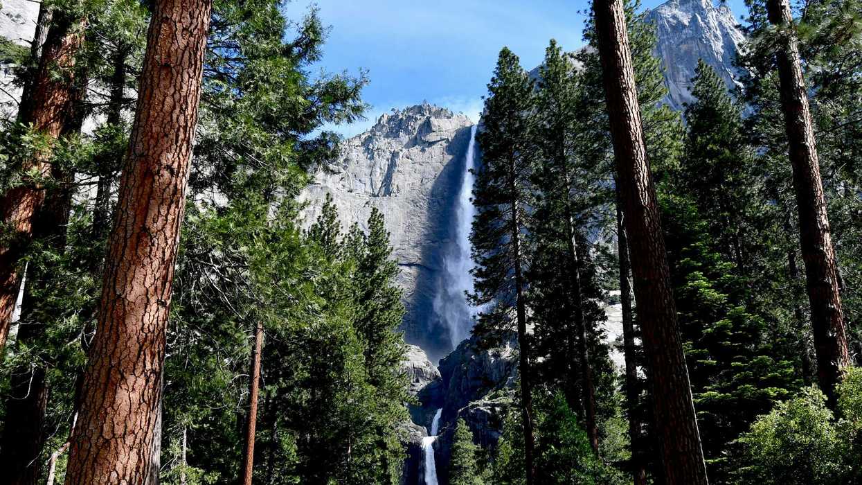 National Park rangers blow the whistle after Flock cameras appear